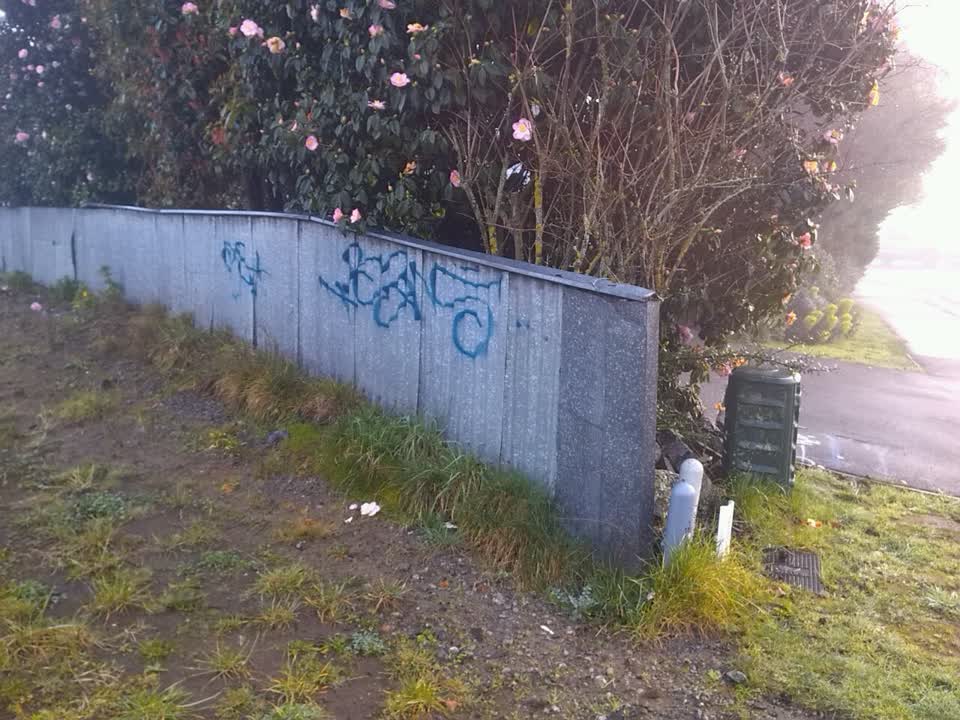 The photograph attached to this graffiti report