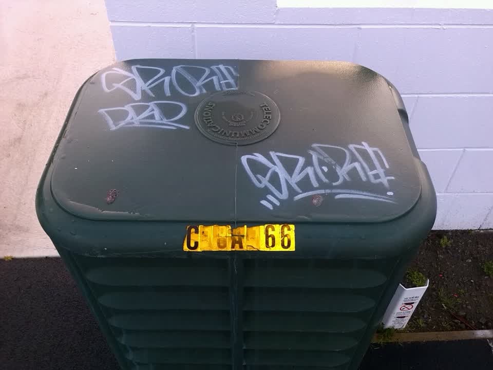 The photograph attached to this graffiti report