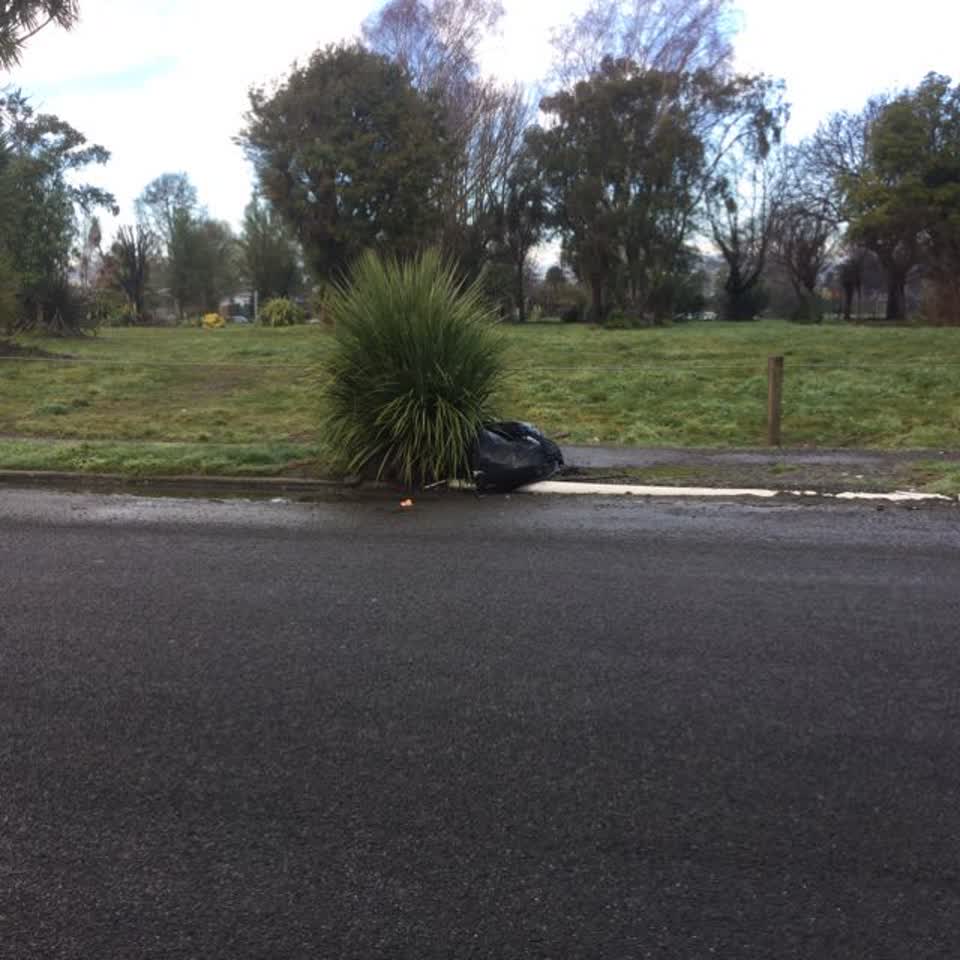 The photograph attached to this rubbish/recycling report
