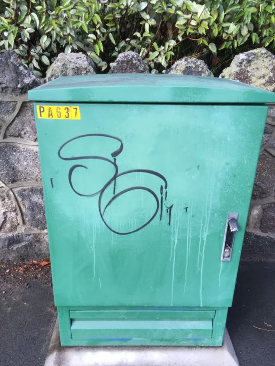 The photograph attached to this graffiti report