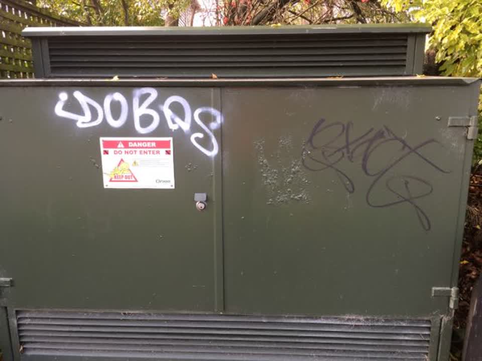 The photograph attached to this graffiti report