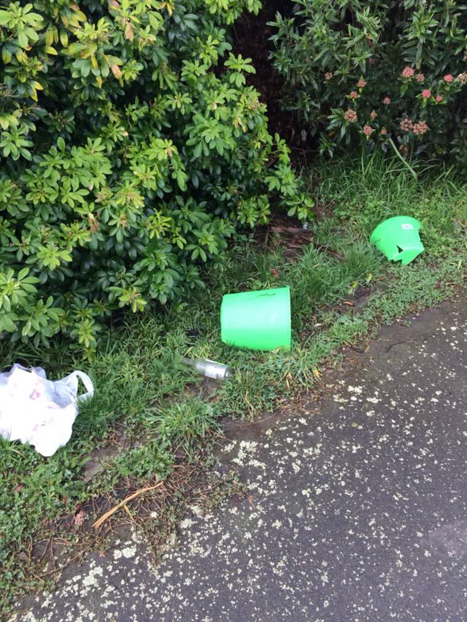 The photograph attached to this roading/streets report