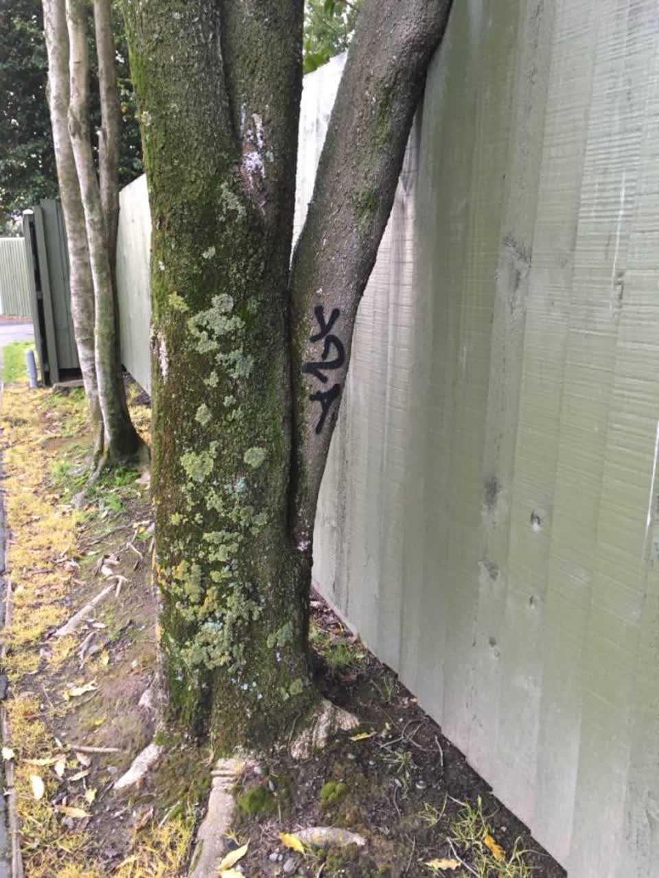 The photograph attached to this graffiti report