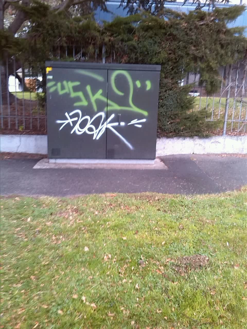 The photograph attached to this graffiti report