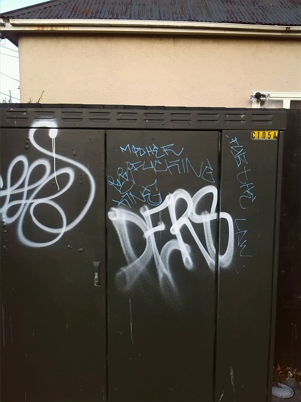 The photograph attached to this graffiti report