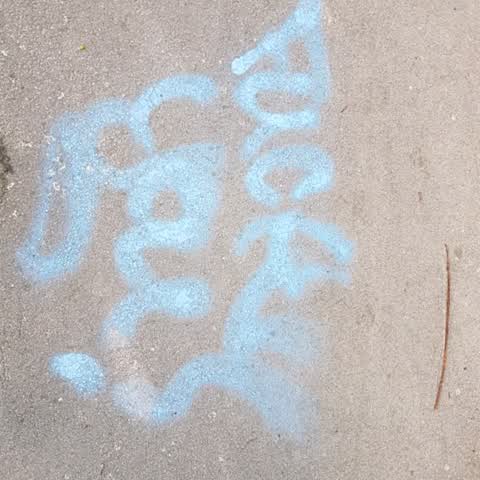 Graffiti, a report photo