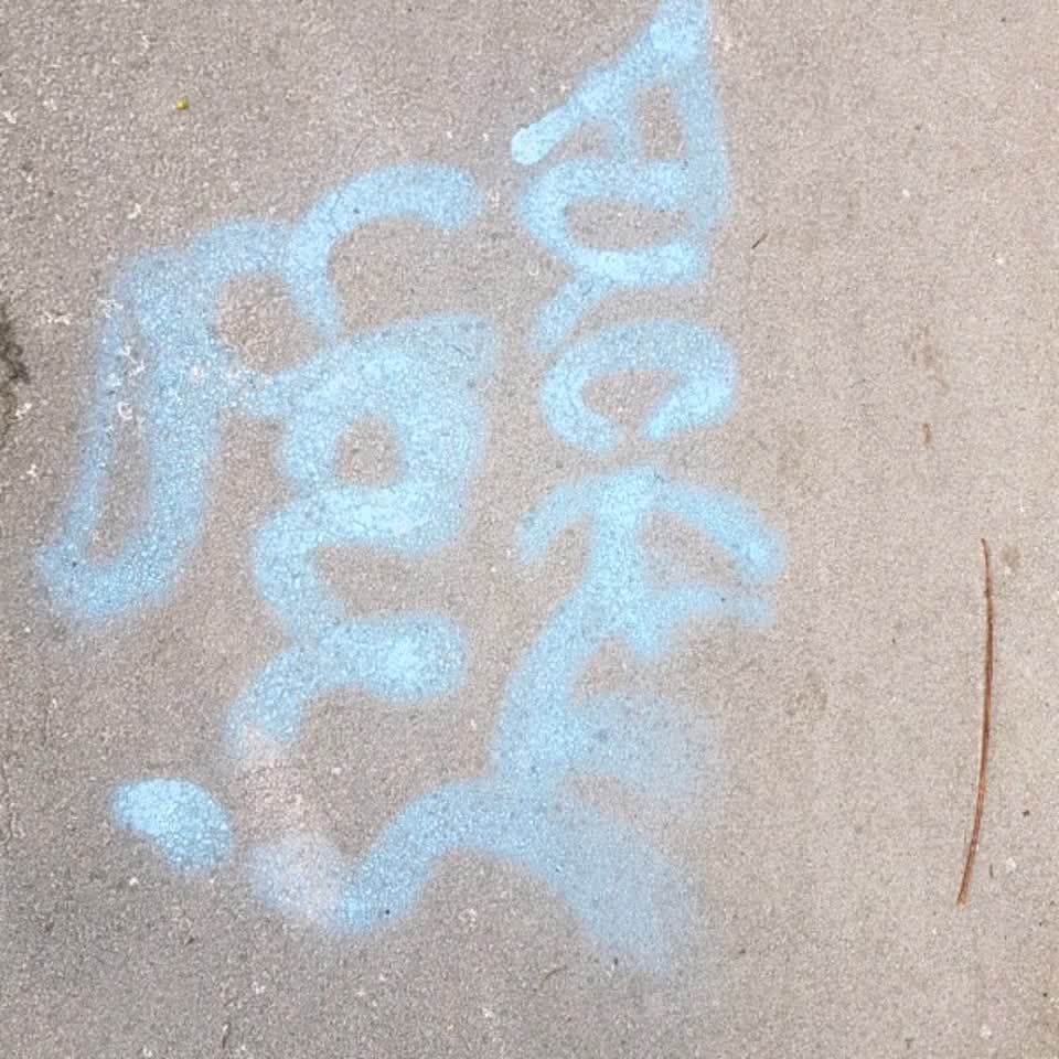 The photograph attached to this graffiti report