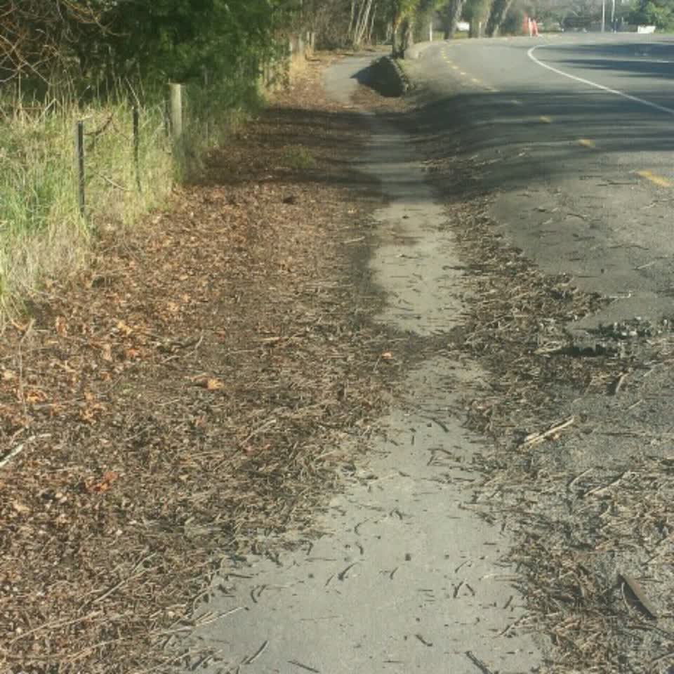 The photograph attached to this parks report