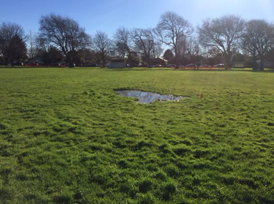 The photograph attached to this parks report