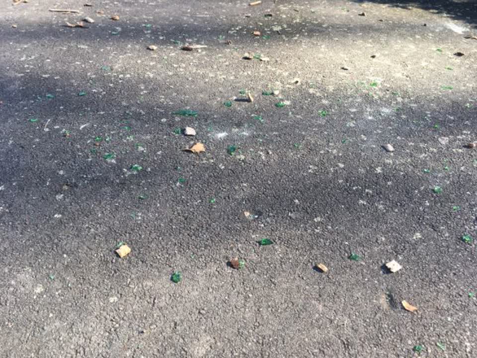 The photograph attached to this parks report