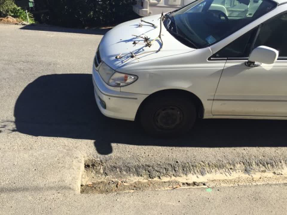 The photograph attached to this roading/streets report