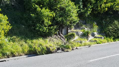 Roading/Streets, a report photo