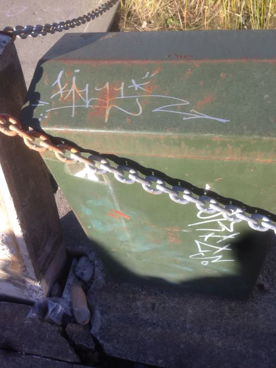 The photograph attached to this graffiti report