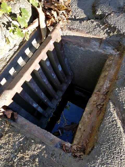 Wastewater/Stormwater, a report photo