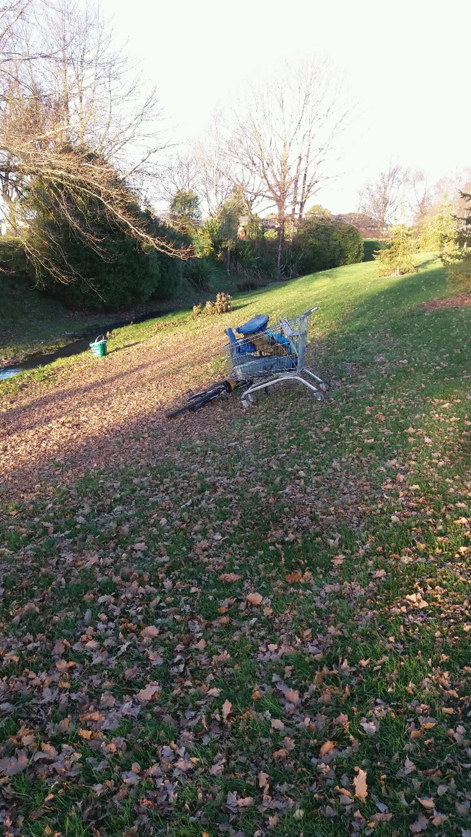 The photograph attached to this parks report
