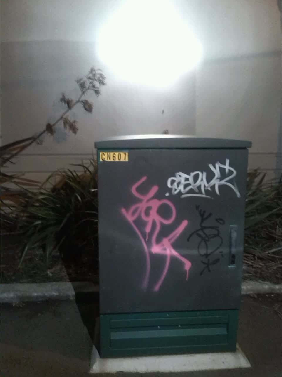 The photograph attached to this graffiti report
