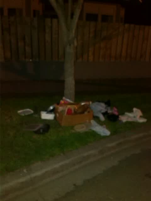 Rubbish/Recycling, a report photo
