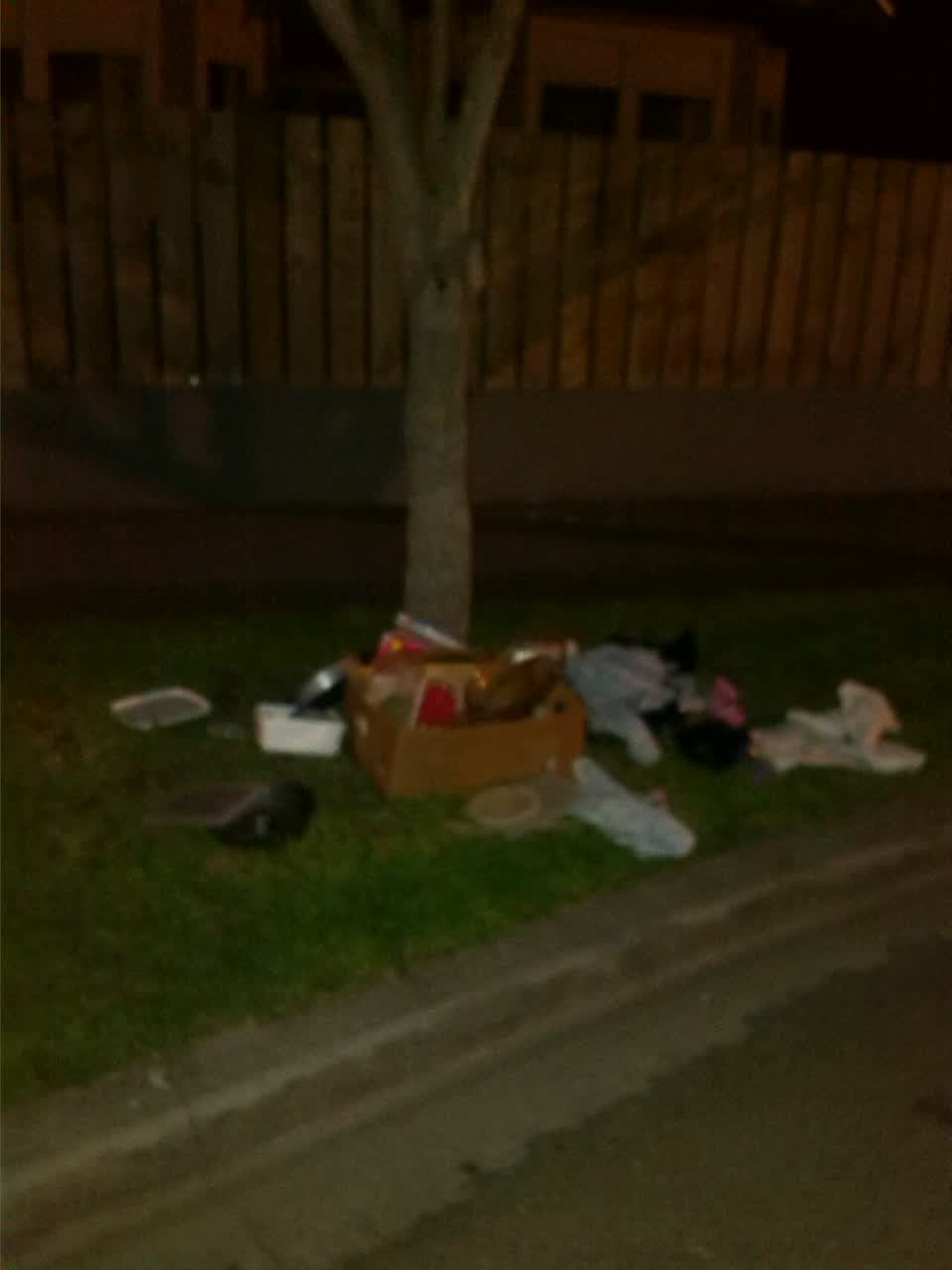 The photograph attached to this rubbish/recycling report