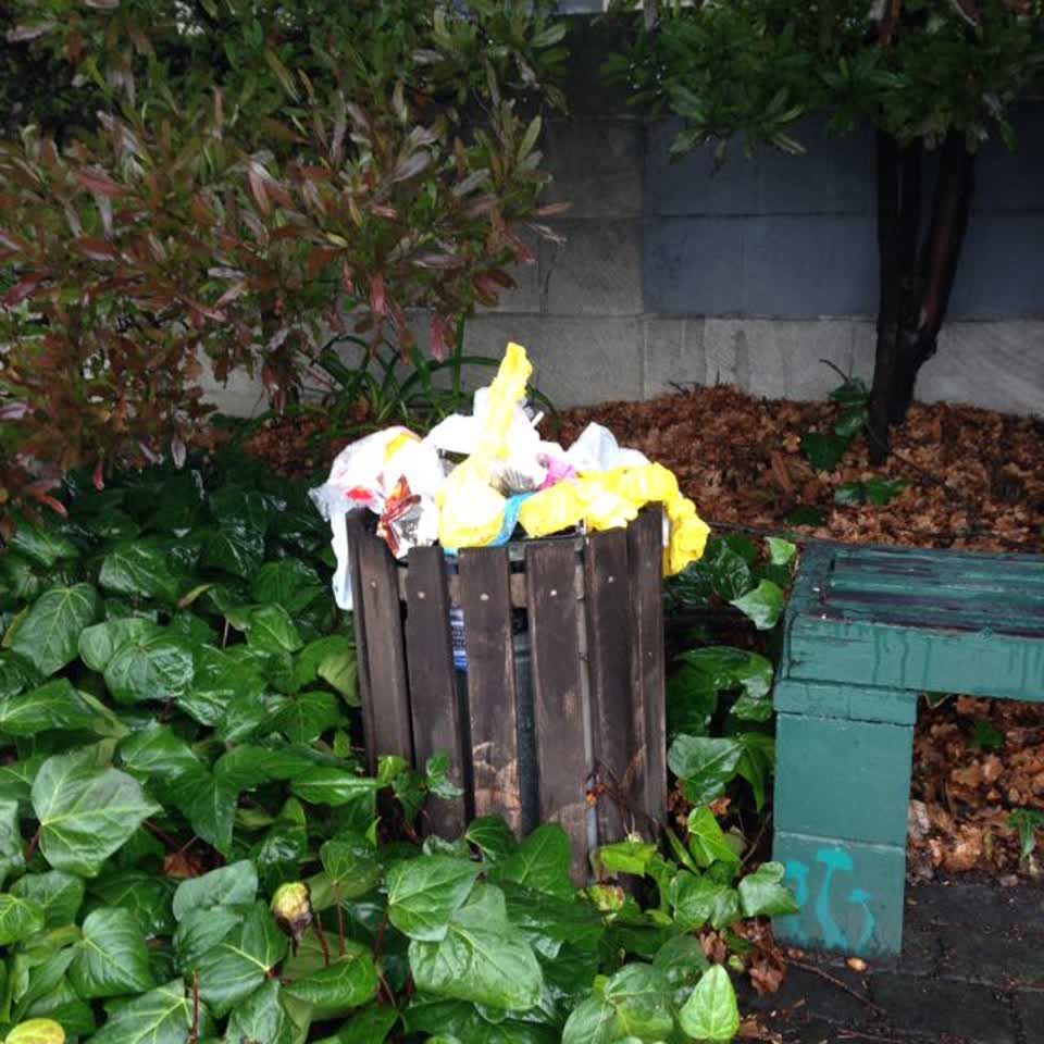 The photograph attached to this rubbish/recycling report