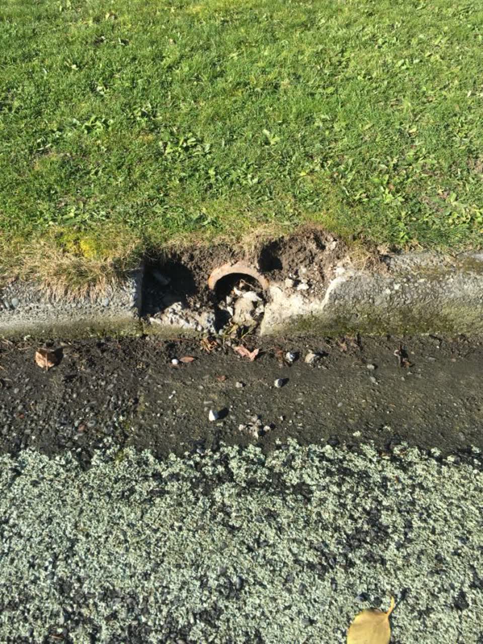 The photograph attached to this roading/streets report