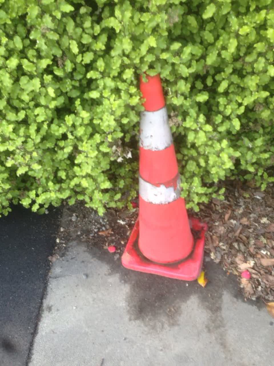 The photograph attached to this roading/streets report