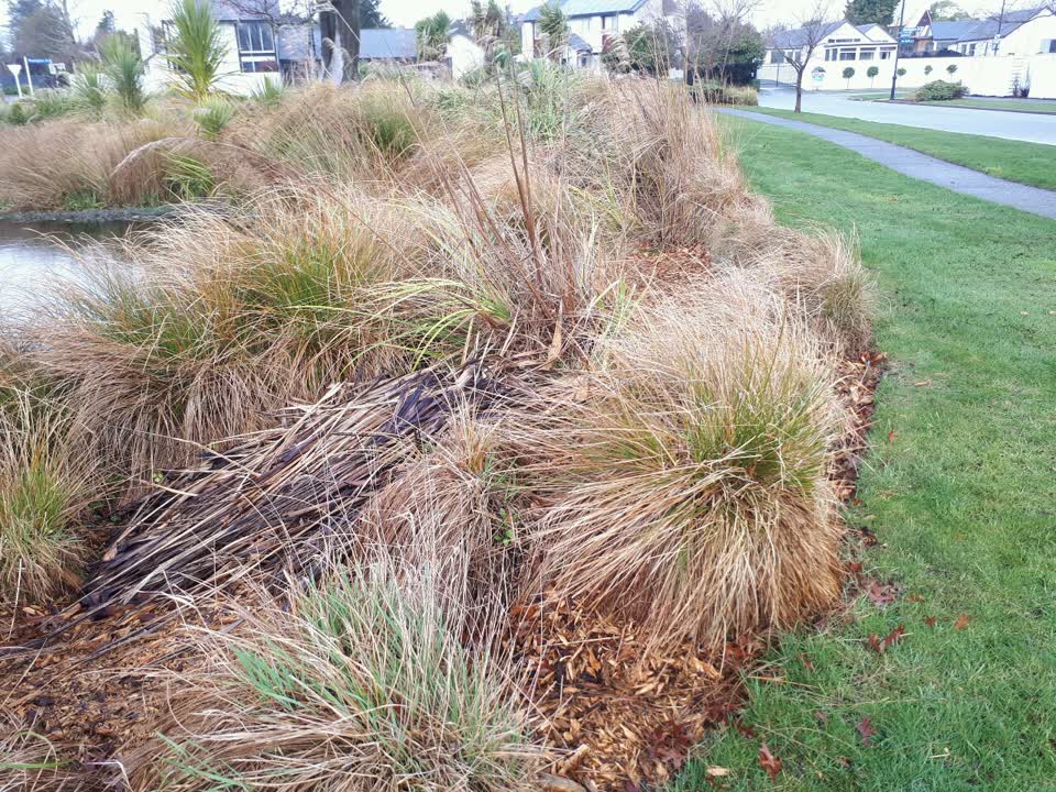 The photograph attached to this parks report