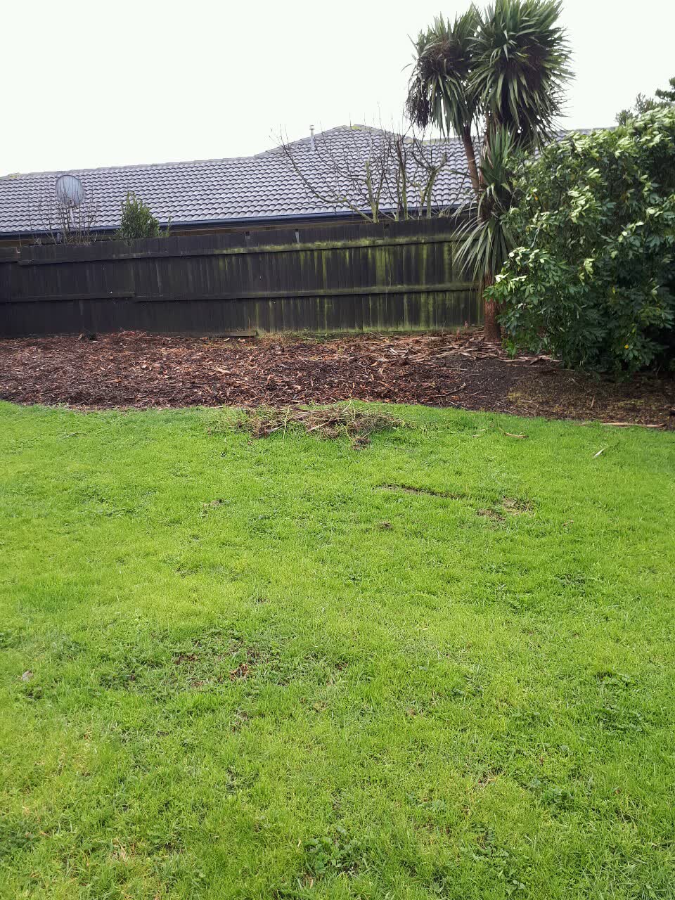 The photograph attached to this parks report