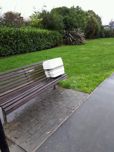 Parks, a report photo