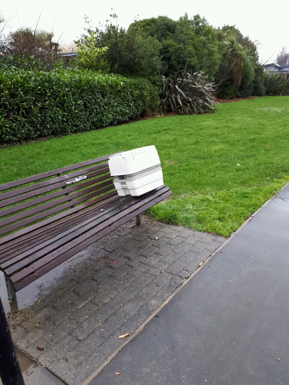 The photograph attached to this parks report