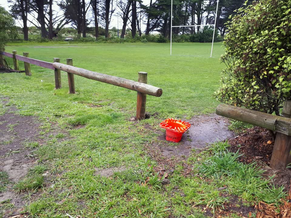 The photograph attached to this parks report