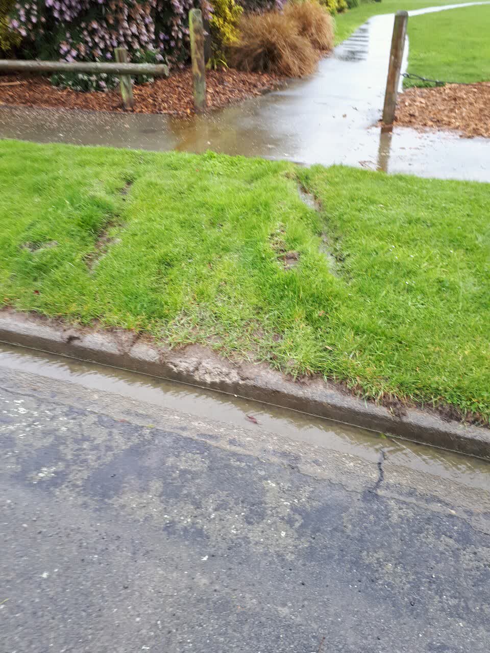 The photograph attached to this parks report