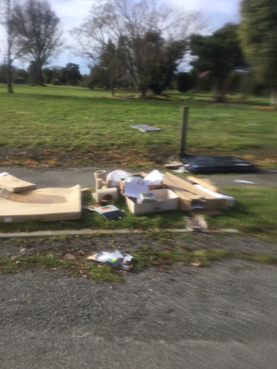 The photograph attached to this rubbish/recycling report