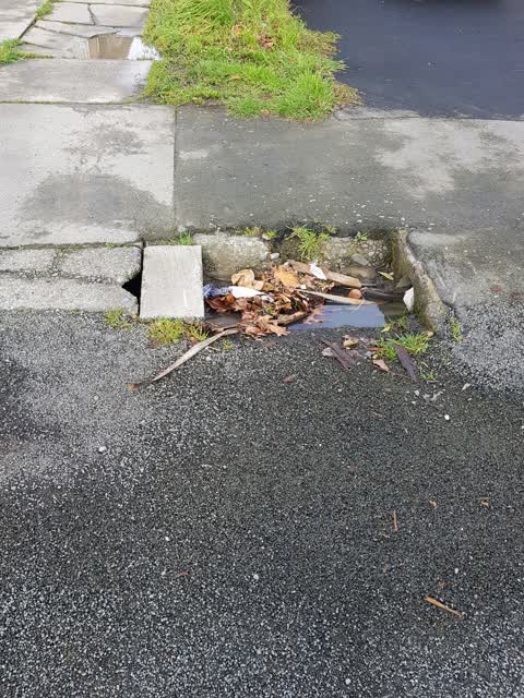 Roading/Streets, a report photo