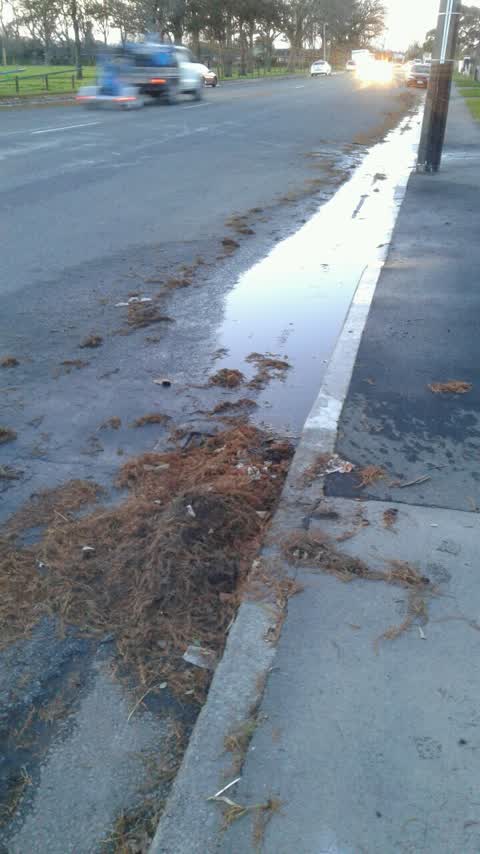 Wastewater/Stormwater, a report photo