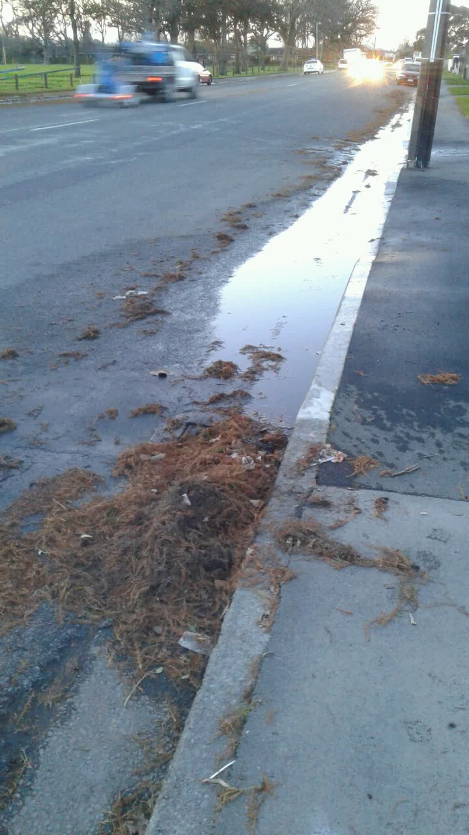 The photograph attached to this wastewater/stormwater report
