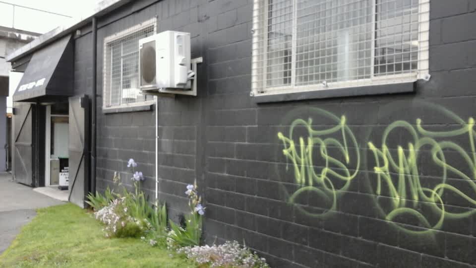 The photograph attached to this graffiti report