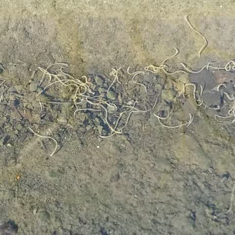 Water Supply, a report photo