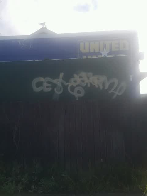 Graffiti, a report photo