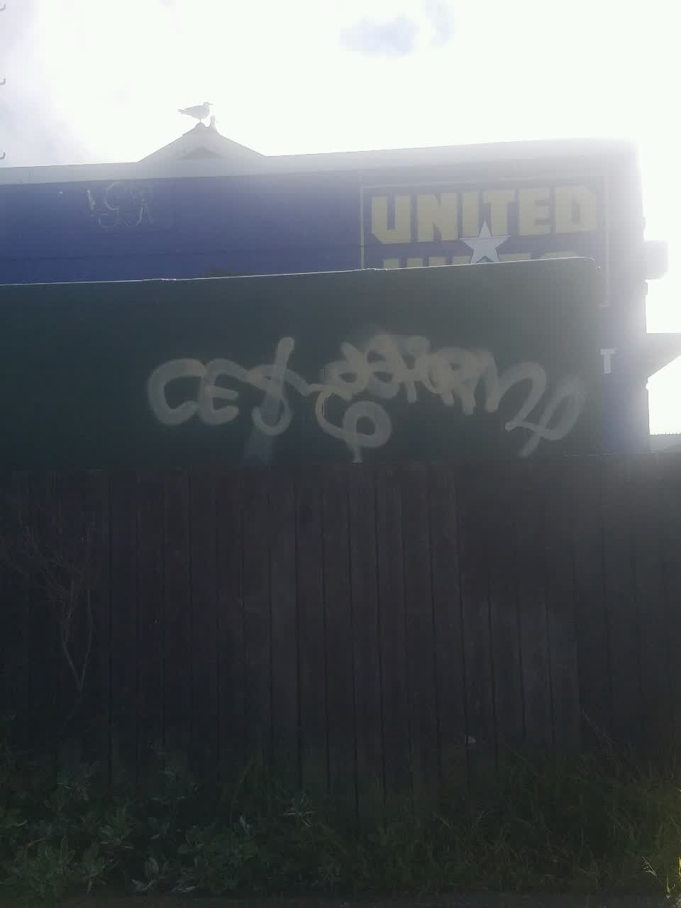 The photograph attached to this graffiti report