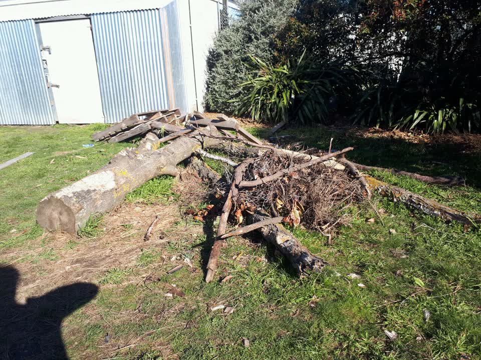 The photograph attached to this parks report