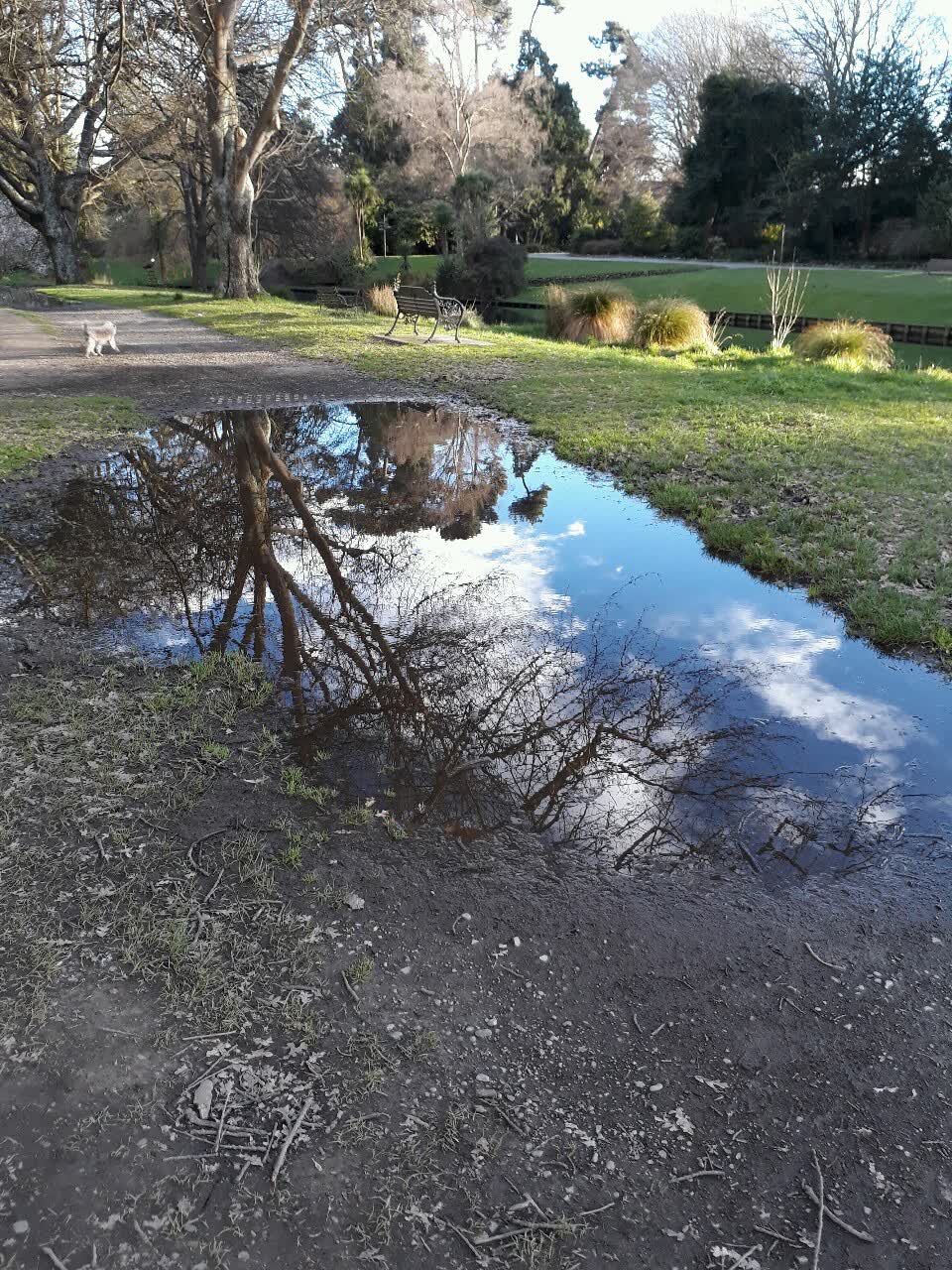 The photograph attached to this parks report