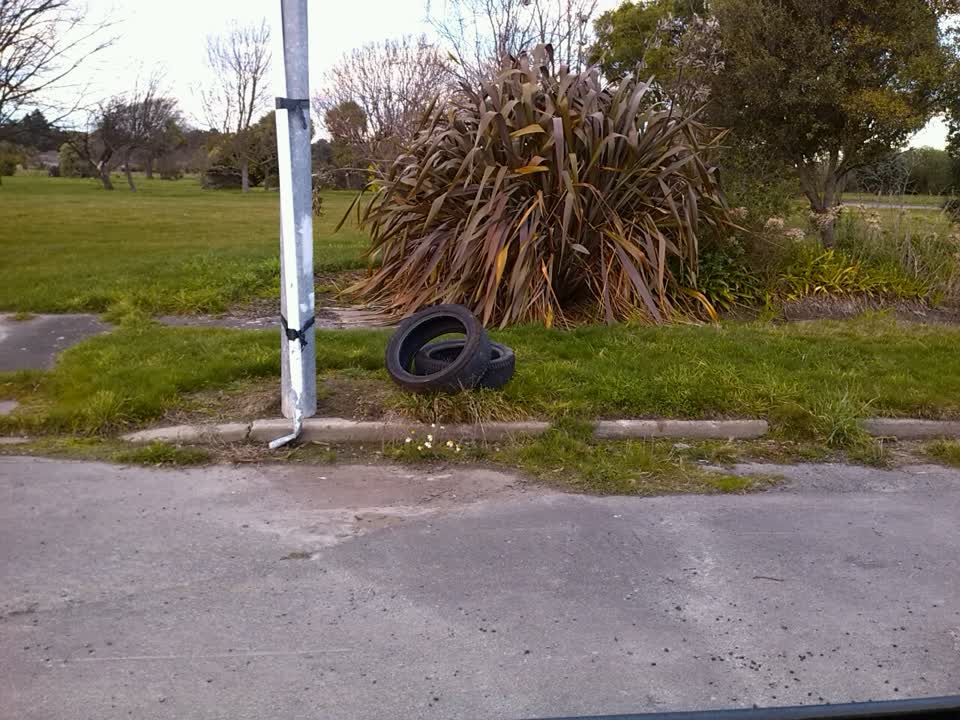 The photograph attached to this rubbish/recycling report