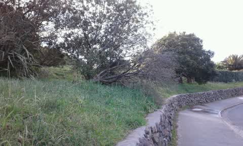 Parks, a report photo