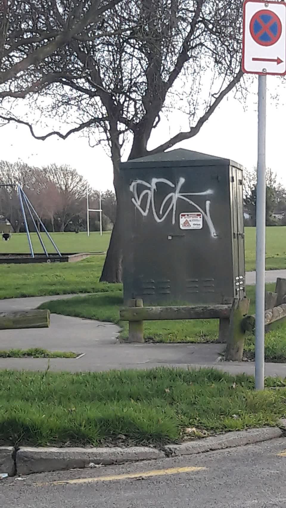 The photograph attached to this graffiti report