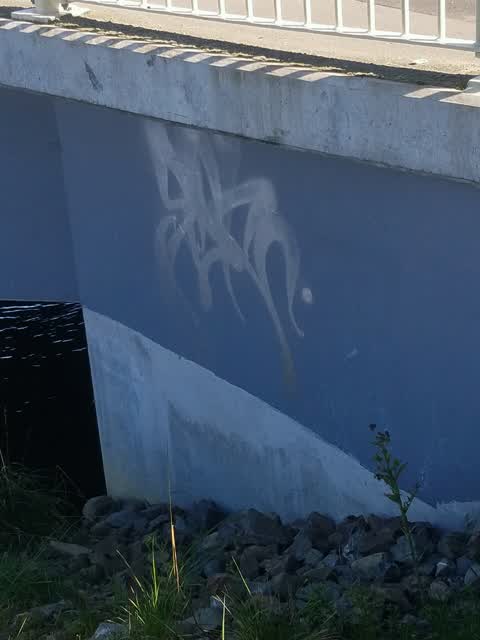 Graffiti, a report photo
