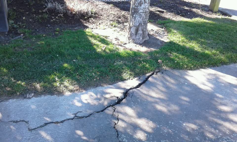 The photograph attached to this roading/streets report