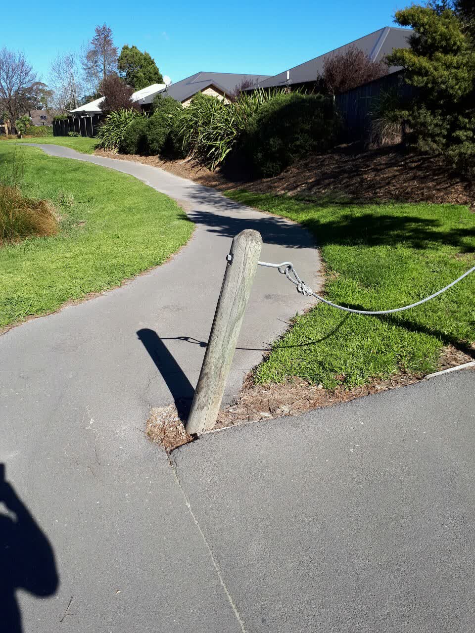 The photograph attached to this parks report