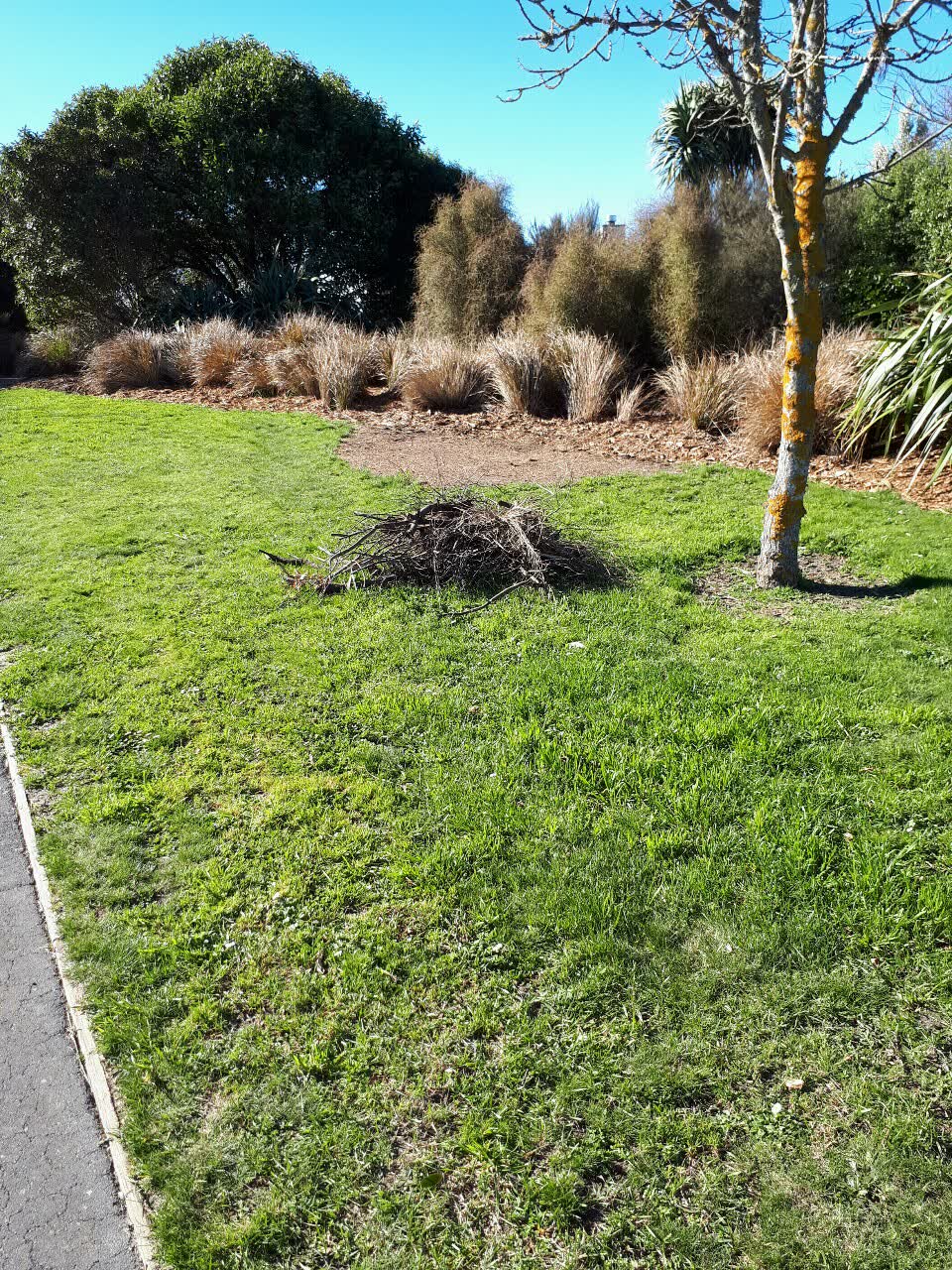 The photograph attached to this parks report