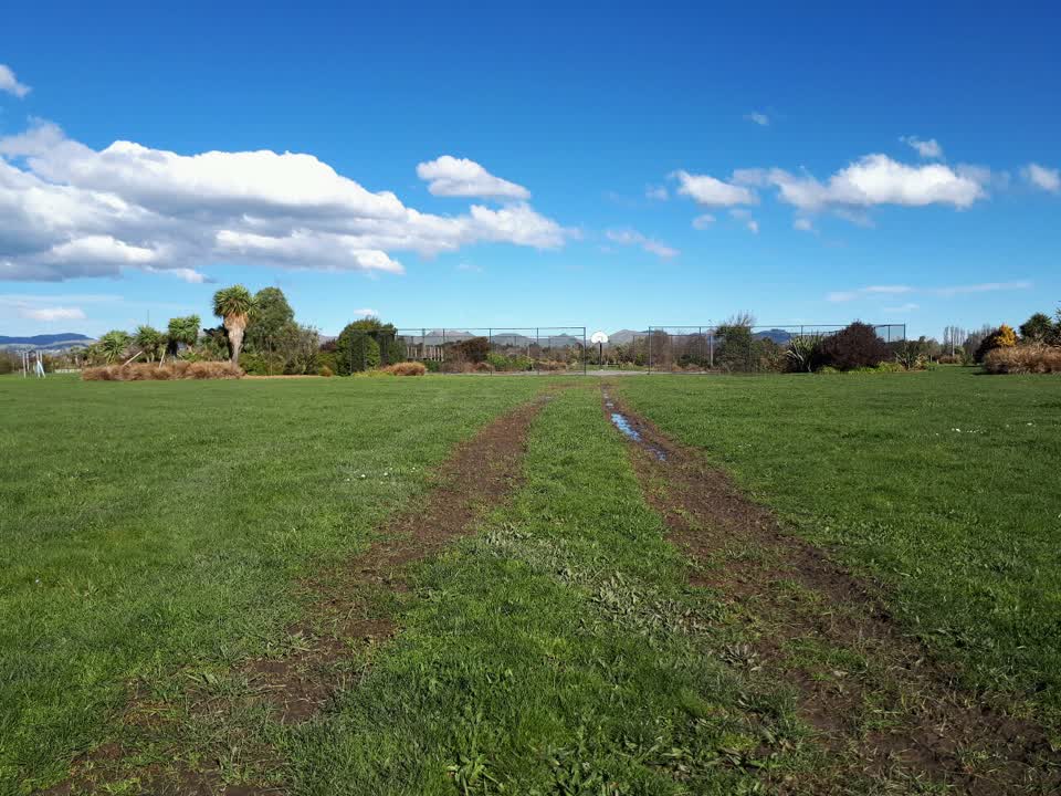 The photograph attached to this parks report