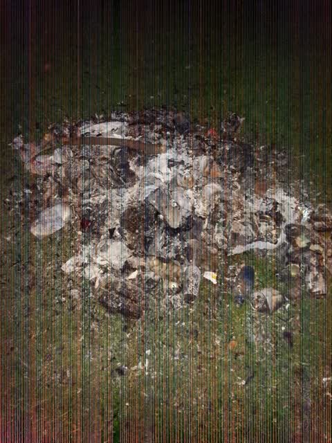 Rubbish/Recycling, a report photo